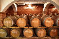 126 Potomje, Weingut Matusco