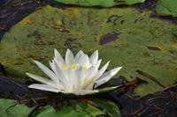 192 Bootsfahrt im Neretvadelta