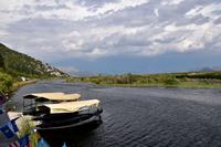 194 Bootsfahrt im Neretvadelta