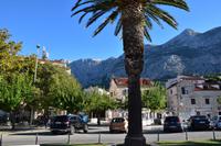 201 Makarska, nahe Hafen und Hotel Biokovo