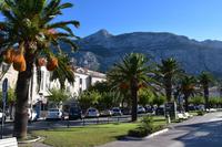 206 Makarska, nahe Hafen und Hotel Biokovo