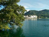 Bled