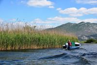 138 Villa Neretva, Bootsfahrt im Neretvadelta