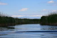 139 Villa Neretva, Bootsfahrt im Neretvadelta mit den schneebedeckten Bergen bei Mostar