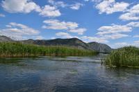 140 Villa Neretva, Bootsfahrt im Neretvadelta