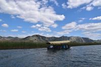 143 Villa Neretva, Bootsfahrt im Neretvadelta