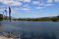 147 Villa Neretva, Bootsfahrt im Neretvadelta