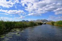 150 Villa Neretva, Bootsfahrt im Neretvadelta