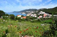 183 Neum