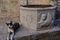 200 Hvar, Löwenbrunnen