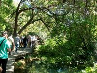 Eberhardt - Reisegruppe im Nationalpark Krka 