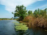 Bootsfahrt auf der Neretva