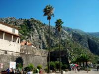 Kotor