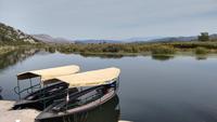 187 Neretvadelta, Bootsfahrt, Blick vom Neretva House