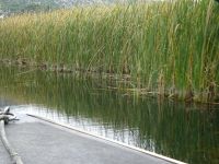 Bootsfahrt im Delta der Neretva