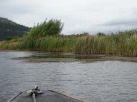 Bootsfahrt im Delta der Neretva