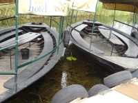 Bootsfahrt im Delta der Neretva