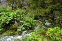 090 NP Plitvicer Seen