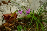 097 NP Plitvicer Seen