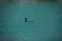 098 NP Plitvicer Seen