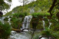 101 NP Plitvicer Seen