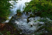 114 NP Plitvicer Seen