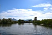 316 Bootsfahrt im Neretvadelta