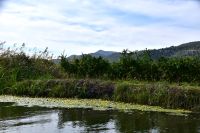 317 Bootsfahrt im Neretvadelta