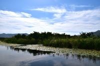 319 Bootsfahrt im Neretvadelta