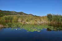 325 Bootsfahrt im Neretvadelta