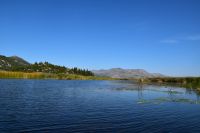 326 Bootsfahrt im Neretvadelta