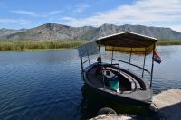 329 Bootsfahrt im Neretvadelta