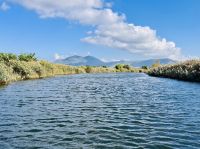 Tag 6 - Bootstour durch das Neretva-Delta