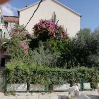 Ein Privatgarten innerhalb des Palastes