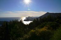 242 Dubrovnik