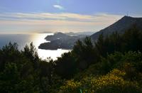 243 Dubrovnik