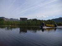 im Neretva Delta Mandarinenernte