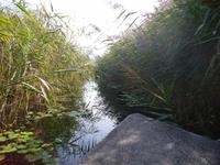 Bootsfahrt im Neretva Delta