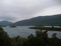 Muschelzucht vor Ston