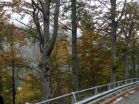 Der Herbst läßt grüßen