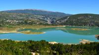 348 Grüner See