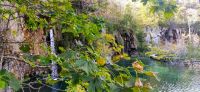 4-51 NP Plitvicer Seen