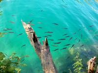 Nationalpark Plitwitzer Seen