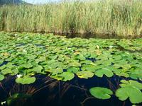 Bootsfahrt auf der Neretva