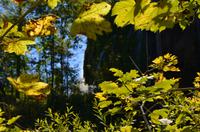 136 NP Plitvicer Seen