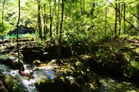 158 NP Plitvicer Seen