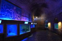 236 Dubrovnik, Aquarium