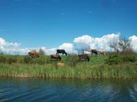 Bootsfahrt auf der Neretva