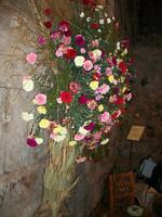 Split, Blumenausstellung im Palast des Diokletian