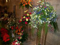 Split, Blumenausstellung im Palast des Diokletian